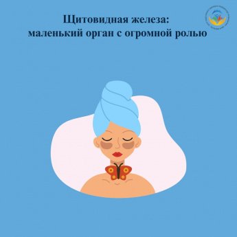 20 мая Щитовидная железа: маленький орган с огромной ролью  В организме человека есть органы, которые незаметны, но без них невозможно представить полноценную жизнь. Один из них — щитовидная железа. Небольшой, напоминающий бабочку орган, расположенный на 